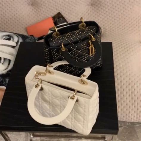 dior bag organizer